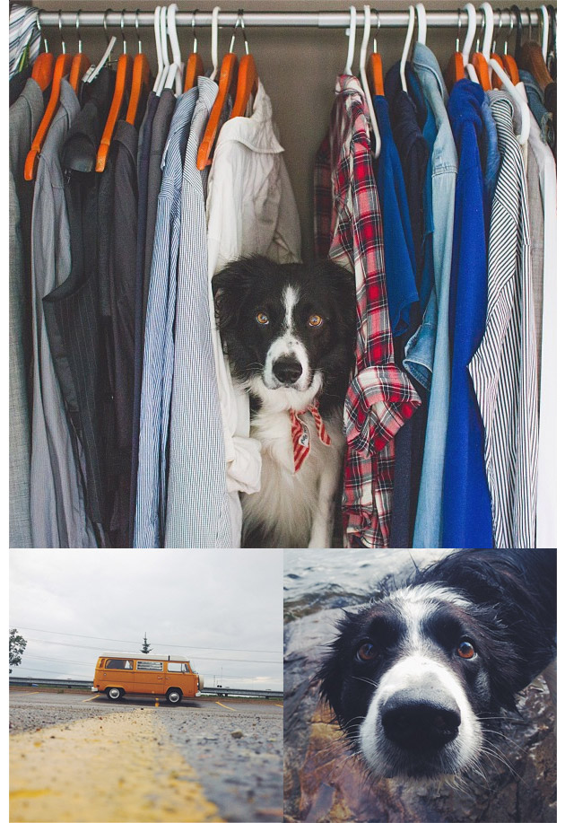 Animales en Instagram - andrewknapp