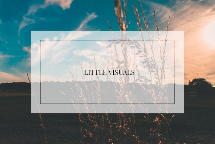 Littlevisuals