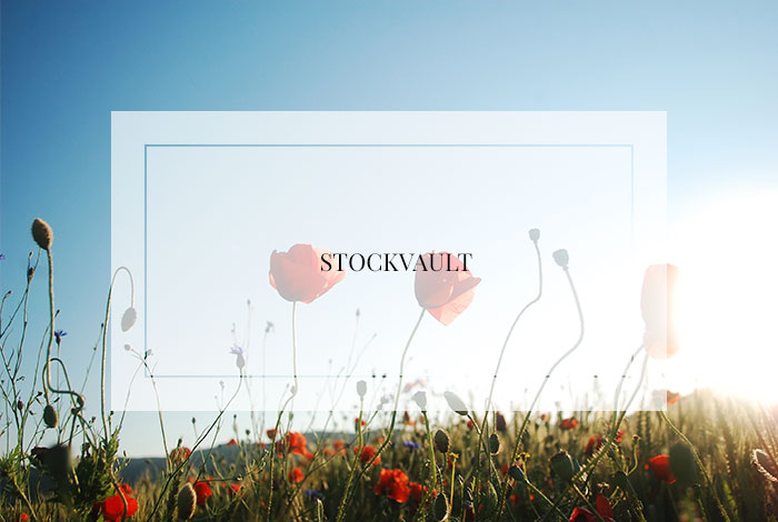 Stockvault