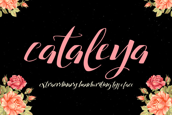 Fuente Cataleya