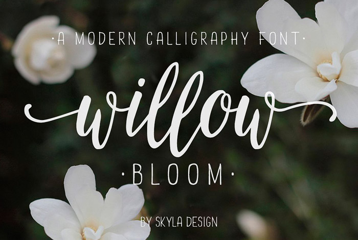 Fuente Willow Bloom