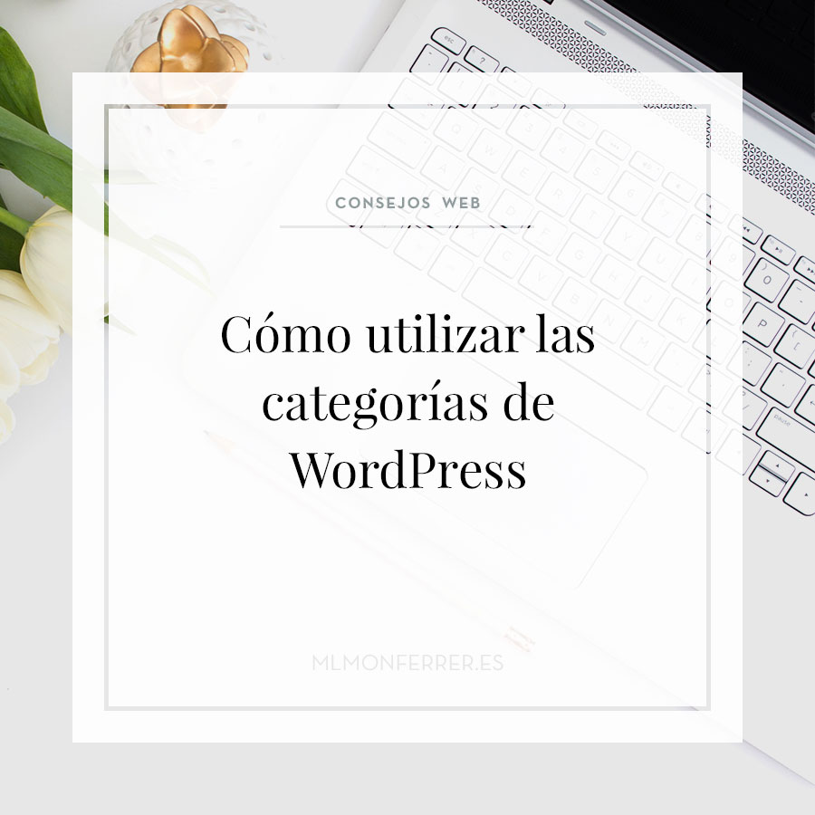 Como utilizar las categorías de WordPress
