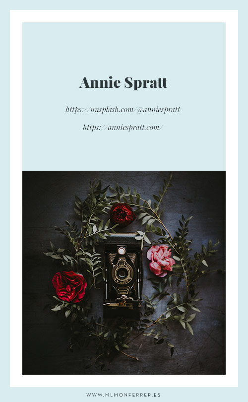 Annie Spratt en Unsplash.com