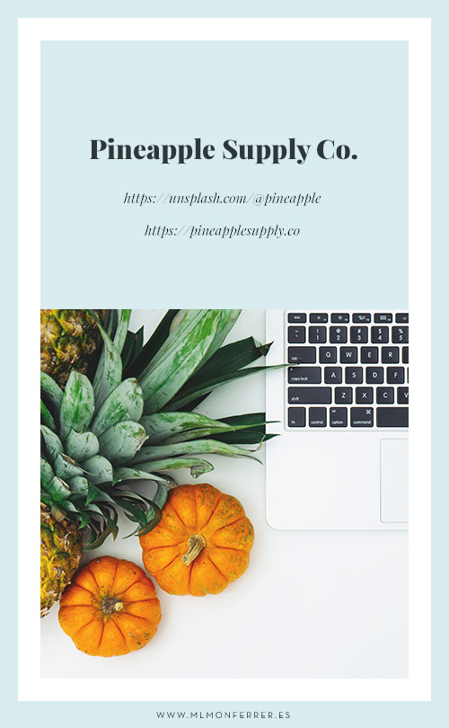 Pineapple Supply Co. en Unsplash.com