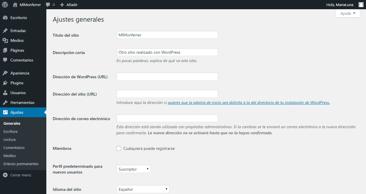 Entender el área de administración de WordPress - Pantalla de Ajustes de configuración - MlM