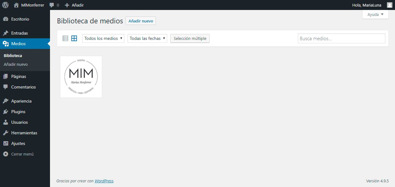 Entender el área de administración de WordPress - Pantalla de gestión de Medios - MlM