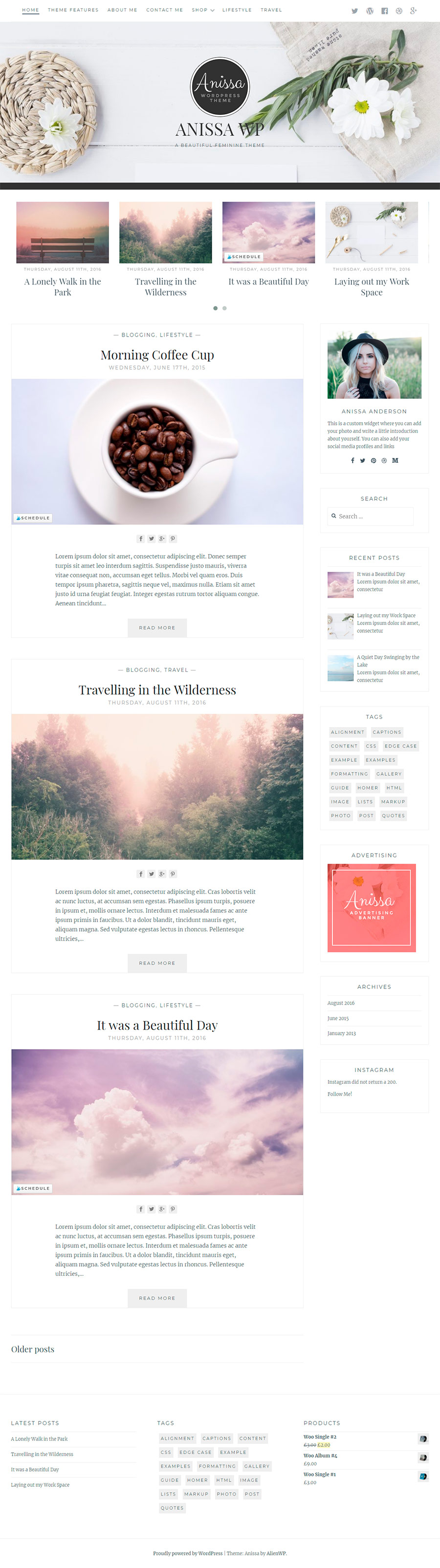 Anissa / Blog & WooCommerce Theme