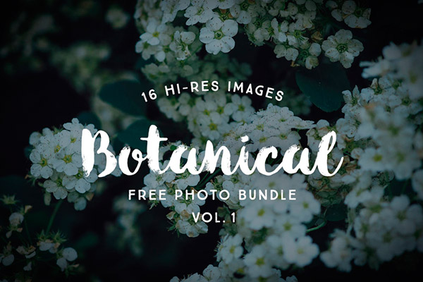 Free Botanical Photo Bundle by Graphic Goods | Recursos gratuitos de junio para diseñadores | mlmonferrer.es